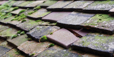 Mop End roof repair costs